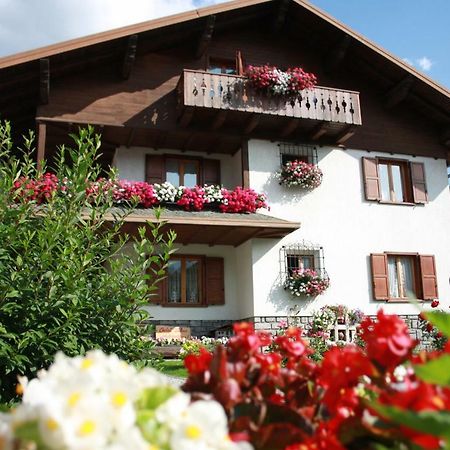Chalet Stelvio Борміо Екстер'єр фото