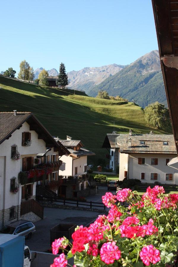 Chalet Stelvio Борміо Екстер'єр фото